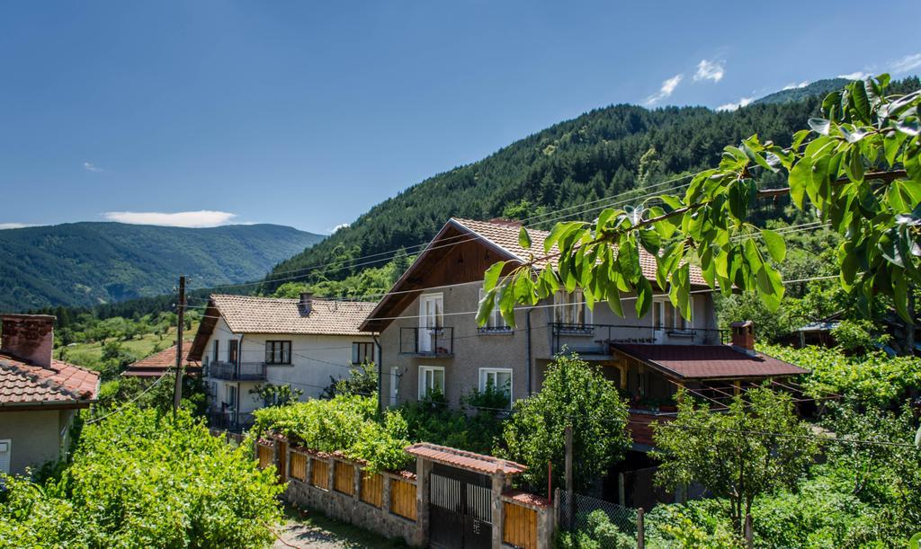 Dariya Guest House Сапарева Баня Екстер'єр фото