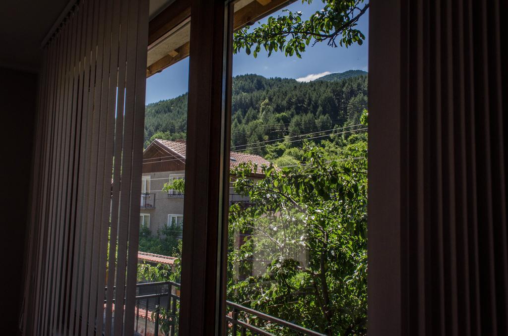 Dariya Guest House Сапарева Баня Номер фото